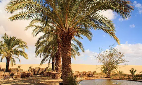 Ao muối đẹp mê hồn trên ốc đảo ở Ai Cập